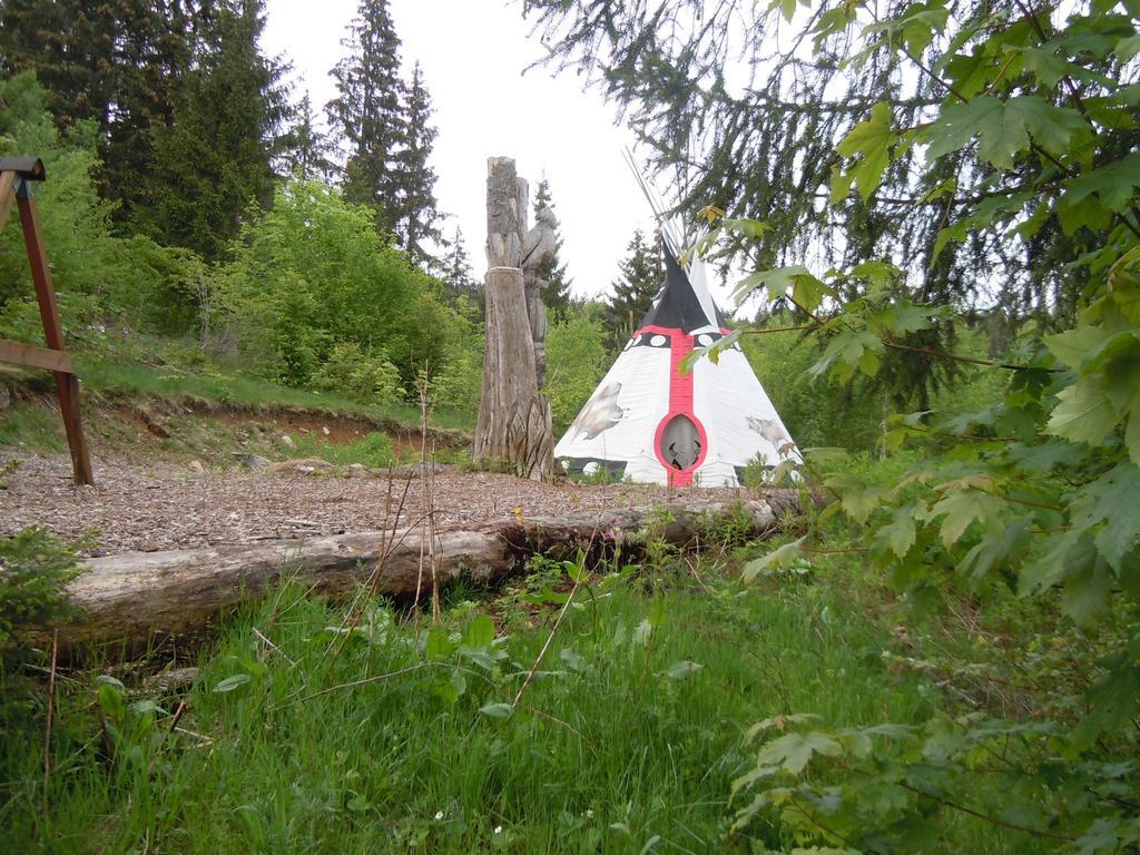 Klosterweiherhof Dachsberg im Schwarzwald Kültér fotó