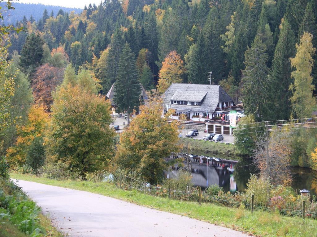 Klosterweiherhof Dachsberg im Schwarzwald Kültér fotó